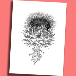 Postkarte Artischockenblüte