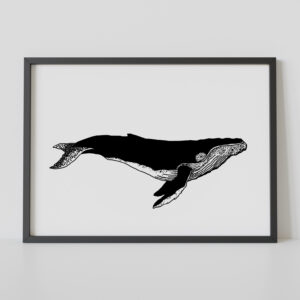 Kunstdruck Blauwal