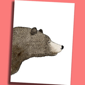 Postkarte Bär